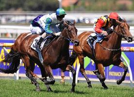 Shopaholic in frame for Stradbroke start